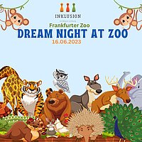 Dream Night at Zoo 2023