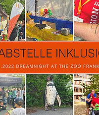 eine Bildcollage vom Zoo